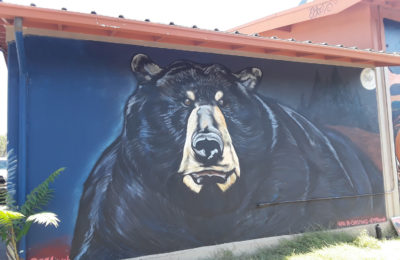 Mechoopda Mural- Christian Garcia - Christian Garcia