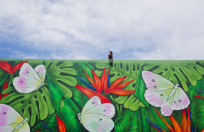 Amandalynn_Bio Pic_Grand Cayman_Paradise Mural_photo by Jason Kennedy - Amanda Lynn